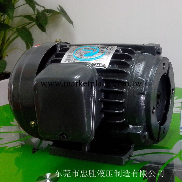 忠勝 小功率電機1/2HP-4P 高壓齒輪泵HGP-2A 電動機 電機工廠,批發,進口,代購