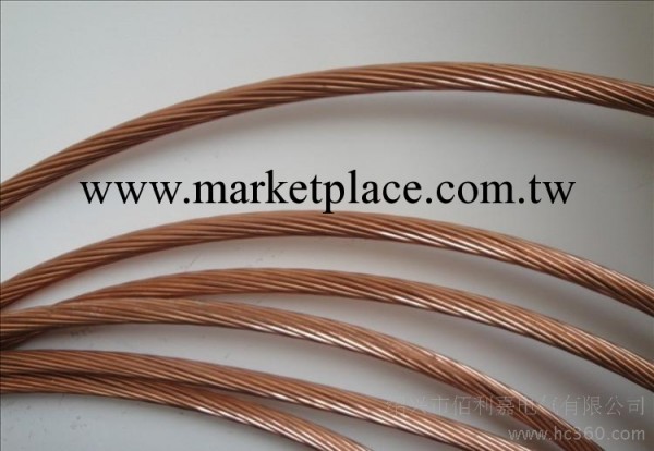 【批量供應】供應優質銅包鋼絞線  TBG銅包鋼絞線工廠,批發,進口,代購