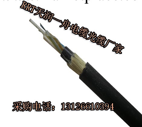 北京地區專業生產自承式電力光纜ADSS-24B1廠傢直銷工廠,批發,進口,代購