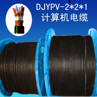 計算機電纜DJYPV-2*2*1現貨供應工廠,批發,進口,代購