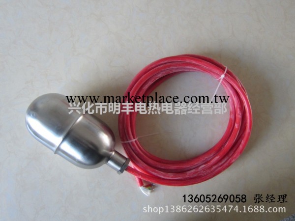 耐高溫電纜浮球 不銹鋼液位浮球  浮球液位控制器批發・進口・工廠・代買・代購