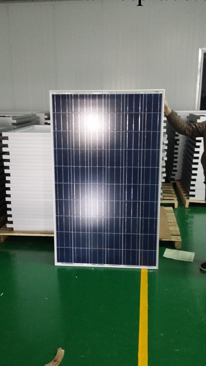 永來福多晶250W組件（太陽能電池板）批發・進口・工廠・代買・代購