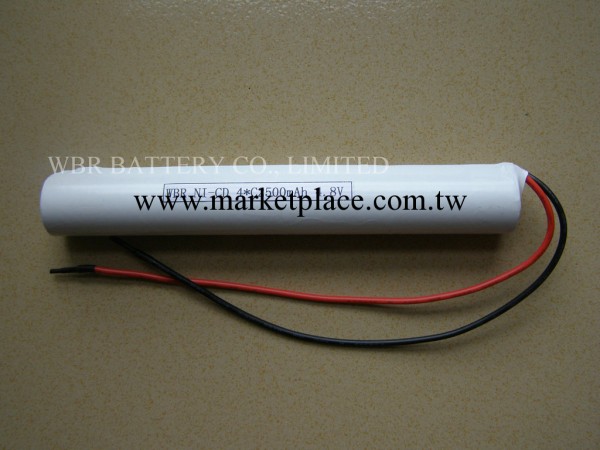 WBR 鎳鎘 4*C 4.8V 2500mAH  電池組工廠,批發,進口,代購