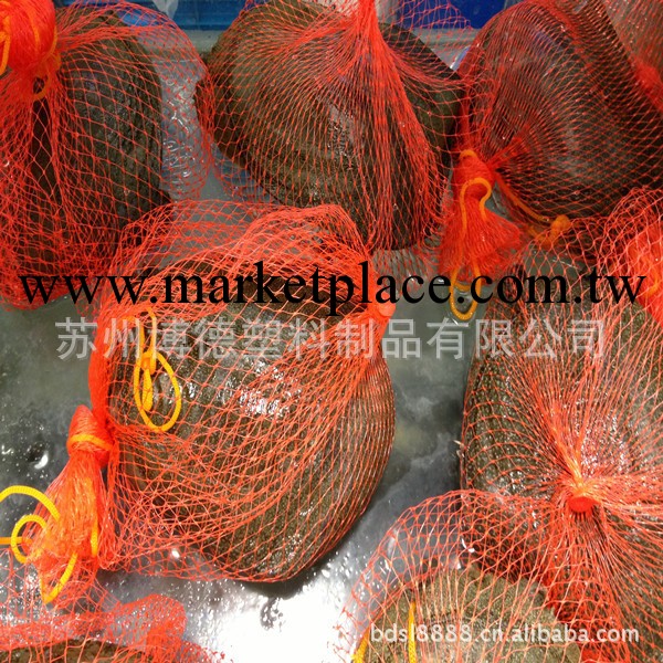 【現貨供應】大蒜頭生薑甲魚包裝擠出網眼袋80cm工廠,批發,進口,代購