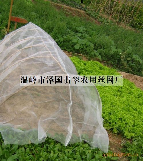 供應優質蔬菜大棚溫室網罩（圖）工廠,批發,進口,代購