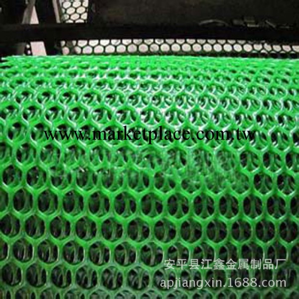 廠價直銷白色塑料平網 雞鴨養殖網 床用塑料平網工廠,批發,進口,代購