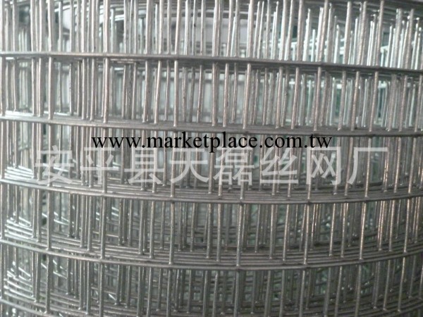低價促銷安平縣天磊絲網廠優質熱鍍鋅電焊網工廠,批發,進口,代購