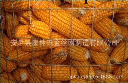 北京圈玉米網 圈棒子網工廠,批發,進口,代購