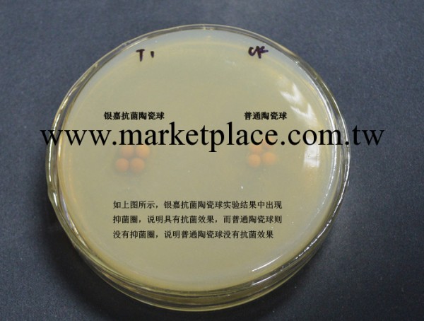 抗菌陶瓷顆粒 矽藻土顆粒 抗菌凈水材料 我們更專業批發・進口・工廠・代買・代購
