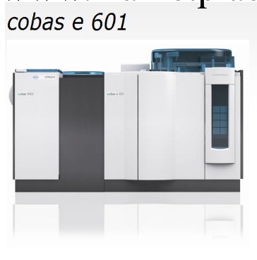 羅氏cobas e 601化學發光，正品行貨，超低價格工廠,批發,進口,代購