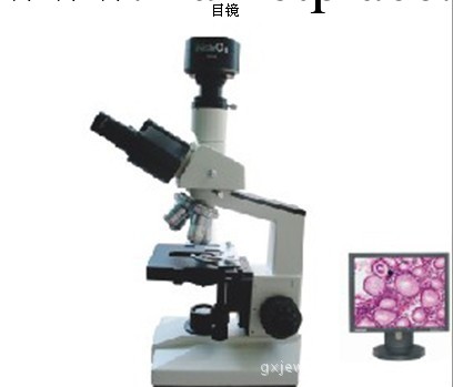 TCT圖文遠程會診系統工廠,批發,進口,代購