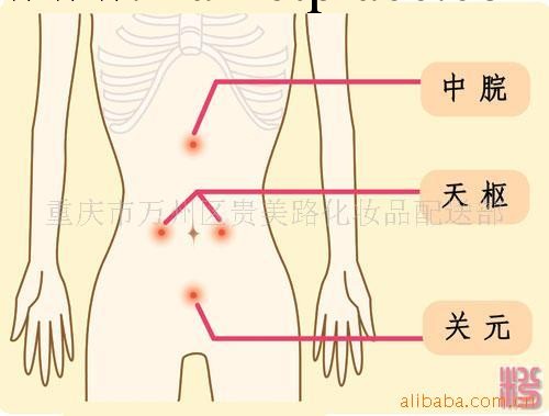 供應瘦身貼 減肥肚臍貼 減肥貼工廠,批發,進口,代購