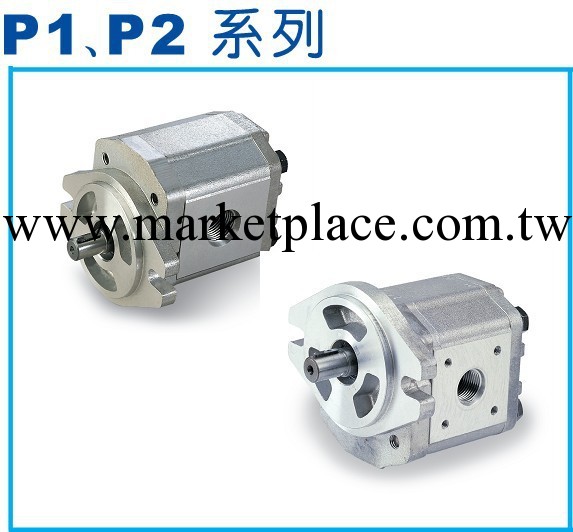 P214RP01DT高壓定量齒輪泵工廠,批發,進口,代購