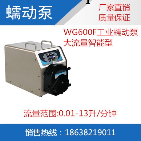 工業分配型蠕動泵 WG600F 現貨供應工廠,批發,進口,代購