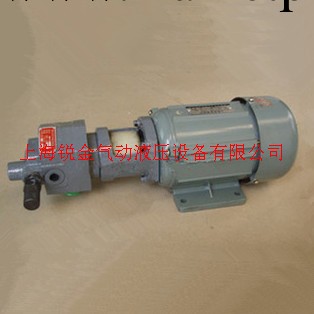 供應BB-B6YJZ擺線齒輪泵電機組/電機泵組合工廠,批發,進口,代購