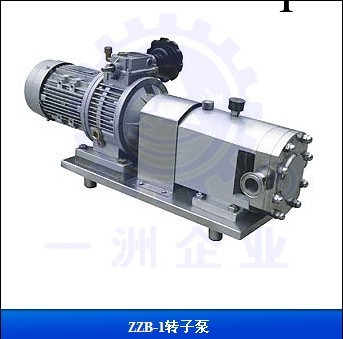 專供ZZB-1轉子泵符合GMP要求質量保證廠傢直銷批發工廠,批發,進口,代購