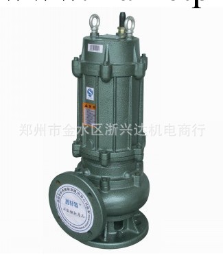 河南鄭州污水泵 排污泵 供應浙江普軒特WQ型系列的污水泵工廠,批發,進口,代購