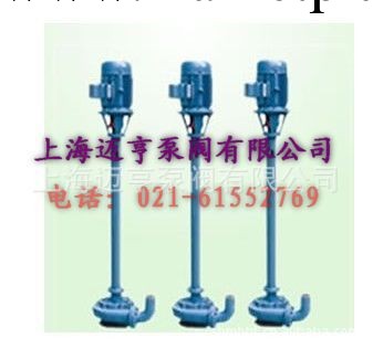現貨供應上海邁亨NL150-12污水泥漿泵工廠,批發,進口,代購
