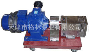 RH0040S1M1W5 天津羅茨泵 化工轉子泵 不銹鋼轉子泵 不銹鋼羅茨泵工廠,批發,進口,代購