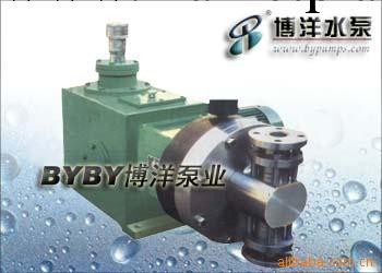 上海博洋水泵廠不銹鋼計量泵工廠,批發,進口,代購