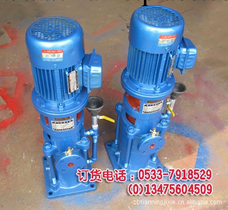 40LG12-15*2,3,4,5,6,7,8型立式多級泵、清水補水泵、增壓泵配件工廠,批發,進口,代購