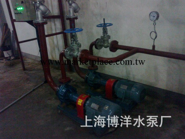 上海博洋導熱油泵LQRY使用在上海嘉定工業區工廠,批發,進口,代購