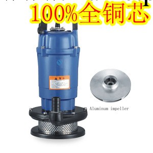 老百姓QX30-6-0.75單相潛水泵/三相潛水泵/傢用潛水泵/潛水電泵工廠,批發,進口,代購