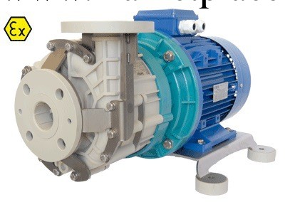 艾格爾磁力泵 TMR系列 意大利ARGALl進口高性能耐腐蝕 化工泵批發・進口・工廠・代買・代購