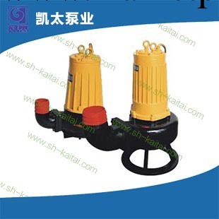 上海廠傢供應 AS/AV型切割式潛水泵 多功能電動鑄鐵潛水泵工廠,批發,進口,代購