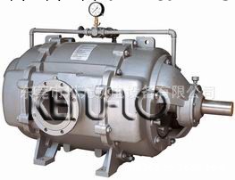 肯富來水泵 SK(2YK)系列水環真空泵-性能比高-設計合理工廠,批發,進口,代購