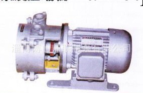 供應水環真空泵 廠傢直銷水環真空泵 SK-0.8水環真空泵工廠,批發,進口,代購