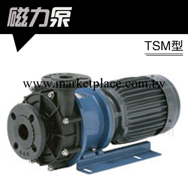 TOHKEMY 磁力泵 TSM型批發・進口・工廠・代買・代購