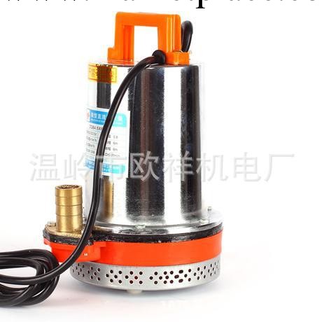 傢用水泵12V/24V/36V48V60V直流潛水泵電瓶車水泵電動車船用抽工廠,批發,進口,代購