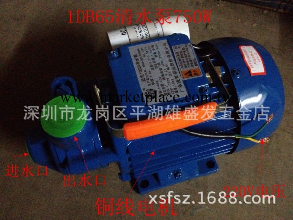 大量供應廣東凌霄1DB-65清水泵 750W. 藍色工廠,批發,進口,代購