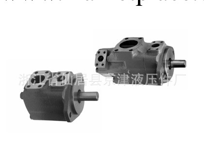 大量銷售 油研葉片泵 無泄漏葉片泵 電動油泵 低壓葉片泵工廠,批發,進口,代購