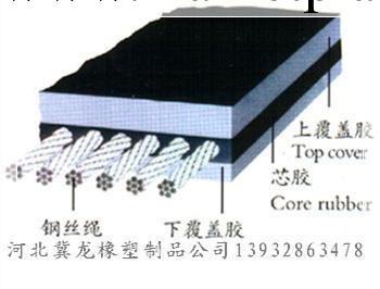 廠傢定制各種聚酯輸送帶（EP輸送帶）工廠,批發,進口,代購