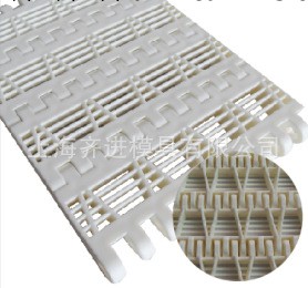 上海廠傢生產銷售OPB型平格塑料網帶工廠,批發,進口,代購