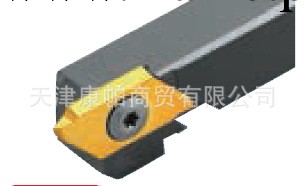 代理日本NTK刀具 ZM3 TTP60FR8A  螺紋切削刀片工廠,批發,進口,代購