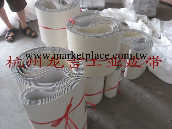 耐高溫輸送帶-矽膠輸送帶-耐高溫260度-杭州榮潤供應工廠,批發,進口,代購
