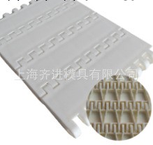 上海廠傢生產銷售OPB型平板塑料網帶工廠,批發,進口,代購