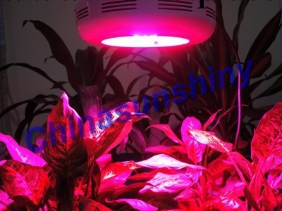 LED植物補光燈專用用冬天植物陽光不足工廠,批發,進口,代購