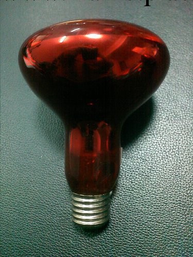 【廠傢直銷】 紅色本料R95硬質防爆遠紅外電療燈泡/取暖燈泡工廠,批發,進口,代購