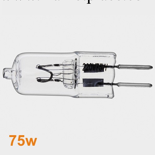 造型燈珠75W 220V 造型燈泡 攝影器材 小霸王影室燈用批發・進口・工廠・代買・代購