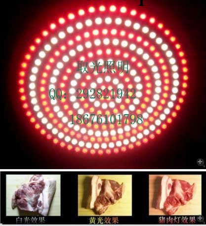 【專業銷售】18WLED豬肉燈、LED生鮮燈、LED水果燈、LED鮮肉燈批發・進口・工廠・代買・代購