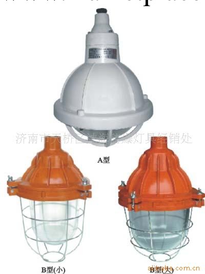 供應FAD-S系列防水防塵防腐全塑燈工廠,批發,進口,代購