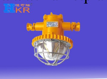 供應HKR-DGS18/127(A)礦用隔爆型巷道燈批發・進口・工廠・代買・代購