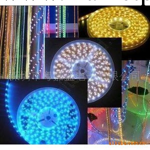 廠傢直銷貼片5050LED 防水LED裝飾軟燈條 60燈/M工廠,批發,進口,代購