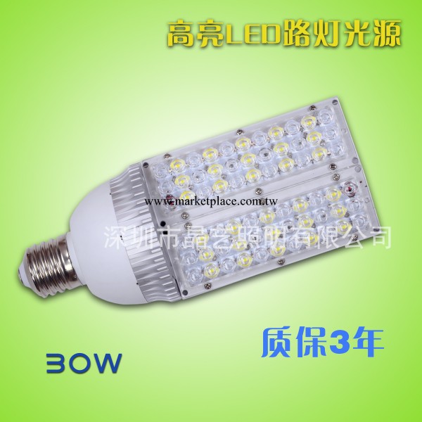 專業供應30w路燈（重點推薦產品，歡迎來電咨詢）批發・進口・工廠・代買・代購