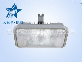 NFC9175長壽頂燈工廠,批發,進口,代購
