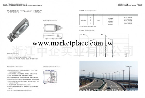 無極燈/ZQGD-W106/道路燈工廠,批發,進口,代購